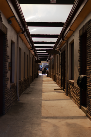 (Untitled)